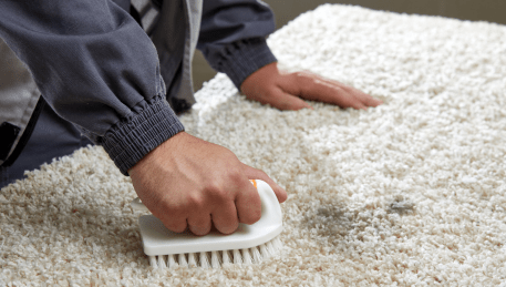 Professional Rug Cleaning Wollert